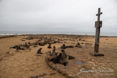 2022-09-18_Namibia_Gia-0735.jpg