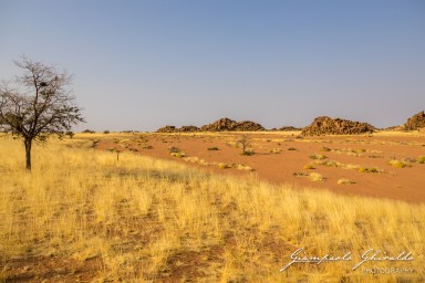 2022-09-18_Namibia_Gia-0842.jpg