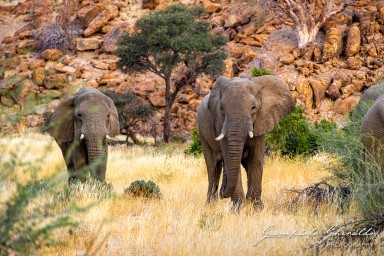 2022-09-18_Namibia_Gia-0898.jpg