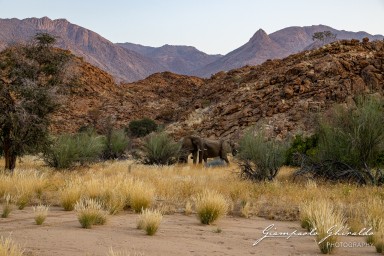 2022-09-18_Namibia_Gia-0908.jpg