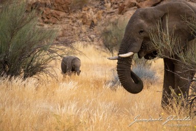 2022-09-18_Namibia_Gia-0934.jpg