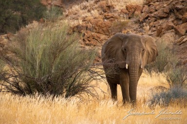 2022-09-18_Namibia_Gia-0939.jpg