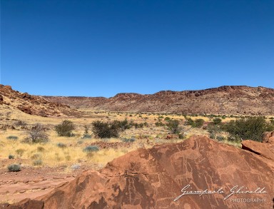 2022-09-19_Namibia_Ant-4953.jpg