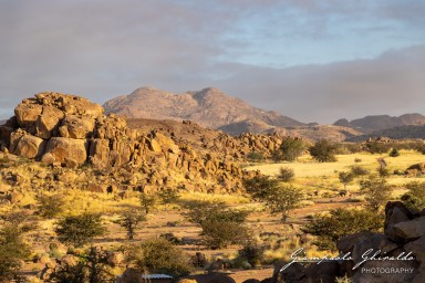 2022-09-19_Namibia_Gia-0965.jpg