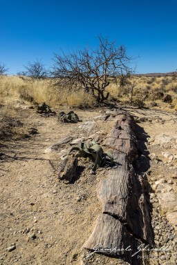 2022-09-19_Namibia_Gia-1059.jpg