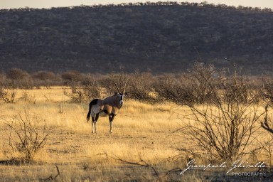 2022-09-21_Namibia_Gia-1344.jpg