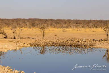 2022-09-21_Namibia_Gia-1351.jpg