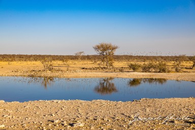 2022-09-21_Namibia_Gia-1357.jpg