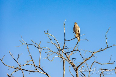 2022-09-21_Namibia_Gia-1367.jpg