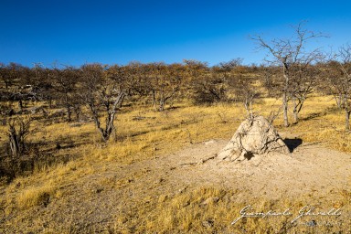 2022-09-21_Namibia_Gia-1371.jpg