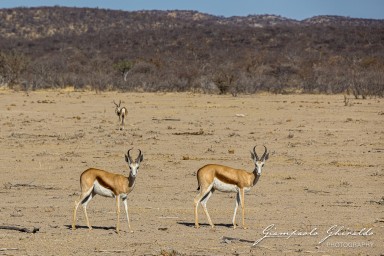 2022-09-21_Namibia_Gia-1393.jpg