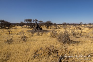 2022-09-21_Namibia_Gia-1412.jpg