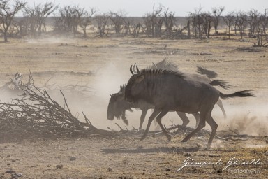 2022-09-21_Namibia_Gia-1419.jpg