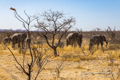 2022-09-21_Namibia_Gia-1443.jpg