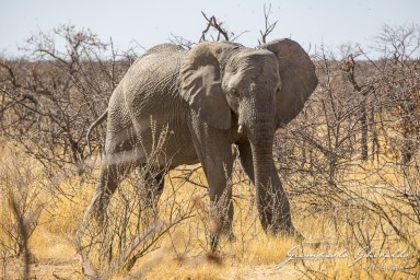 2022-09-21_Namibia_Gia-1459.jpg