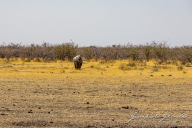 2022-09-21_Namibia_Gia-1477.jpg