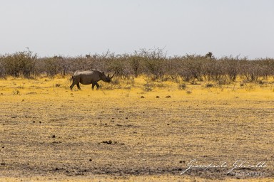 2022-09-21_Namibia_Gia-1479.jpg