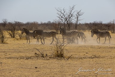 2022-09-21_Namibia_Gia-1497.jpg