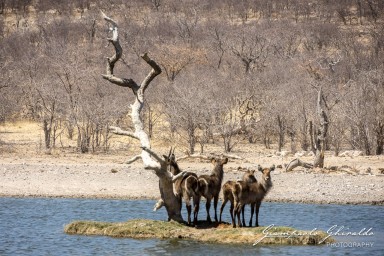 2022-09-21_Namibia_Gia-1508.jpg