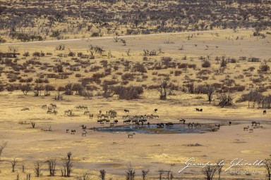 2022-09-21_Namibia_Gia-1526.jpg