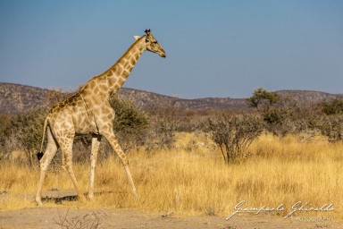 2022-09-21_Namibia_Gia-1566.jpg