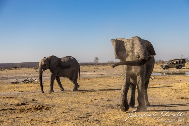 2022-09-21_Namibia_Gia-1590.jpg