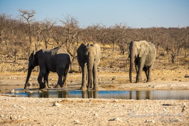 2022-09-21_Namibia_Gia-1606.jpg