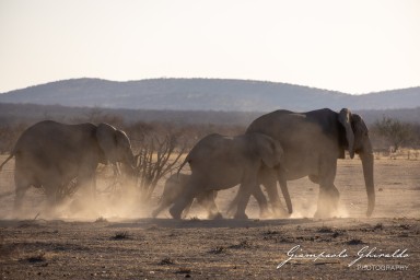 2022-09-21_Namibia_Gia-1624.jpg