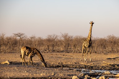 2022-09-21_Namibia_Gia-1641.jpg