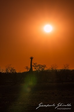 2022-09-21_Namibia_Gia-1648.jpg