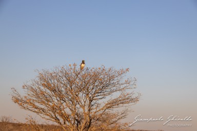 2022-09-22_Namibia_Gia-1703.jpg