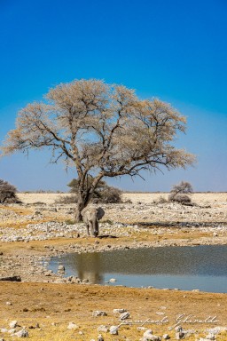 2022-09-22_Namibia_Gia-1716.jpg