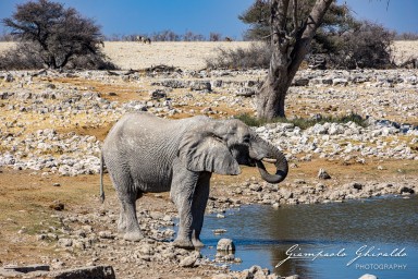 2022-09-22_Namibia_Gia-1719.jpg