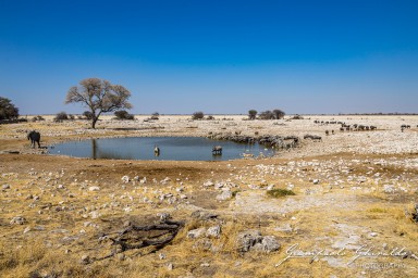 2022-09-22_Namibia_Gia-1733.jpg