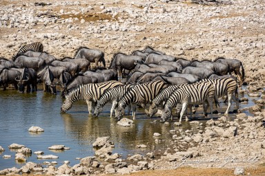 2022-09-22_Namibia_Gia-1735.jpg