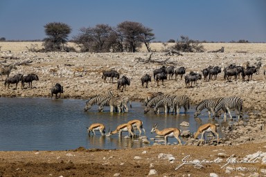 2022-09-22_Namibia_Gia-1752.jpg