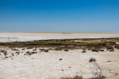 2022-09-22_Namibia_Gia-1809.jpg