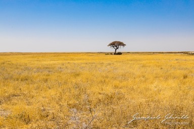 2022-09-22_Namibia_Gia-1815.jpg