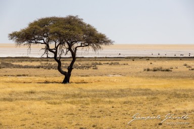 2022-09-22_Namibia_Gia-1818.jpg