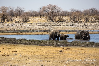 2022-09-22_Namibia_Gia-1826.jpg