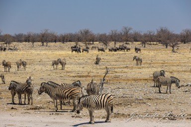 2022-09-22_Namibia_Gia-1830.jpg