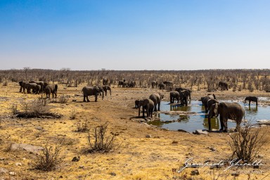 2022-09-22_Namibia_Gia-1857.jpg