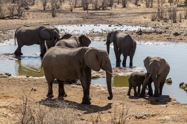 2022-09-22_Namibia_Gia-1859.jpg