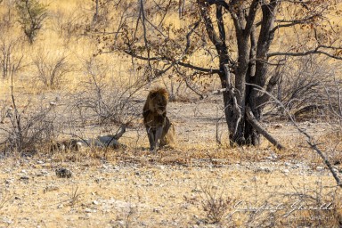 2022-09-22_Namibia_Gia-1892.jpg