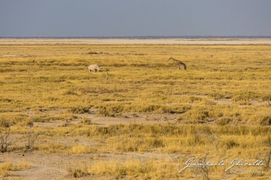 2022-09-22_Namibia_Gia-1951.jpg