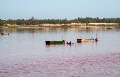 20070317_Senegal_2-3.jpg