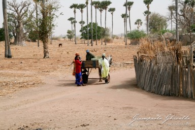 20070317_Senegal_4976.jpg