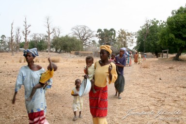 20070317_Senegal_5031.jpg