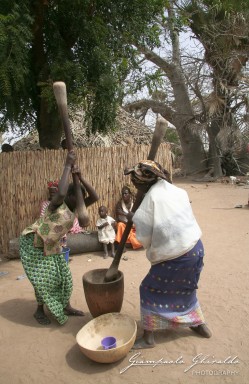 20070317_Senegal_5052.jpg