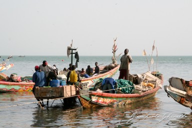 20070317_Senegal_5095.jpg